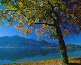 Kochelsee im T&ouml;lzer Land