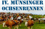 Ochsenrennen M&uuml;nsing